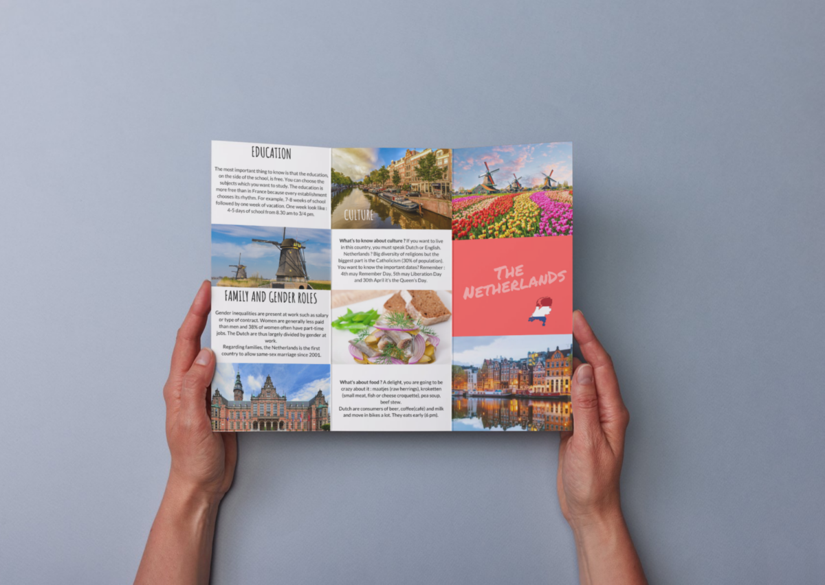 Plaquette commerciale Nerthlands